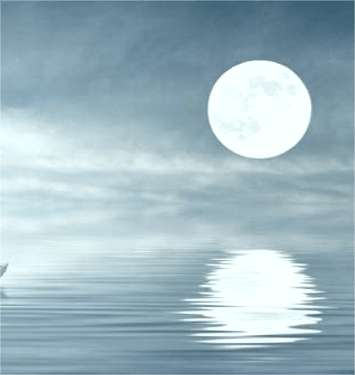 Âm thanh của tĩnh lặng: Khi con người chỉ có 1 cánh&nbsp;tay?