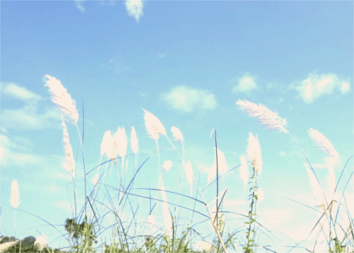 Tháng Chạp – Tảo mộ: Đã sống, đã chết và sẽ chết. Có gì để sợ&nbsp;hãi?