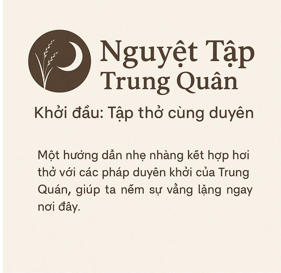 Nguyệt Tập Trung Quán- 25: Không cần phải&nbsp;hiểu