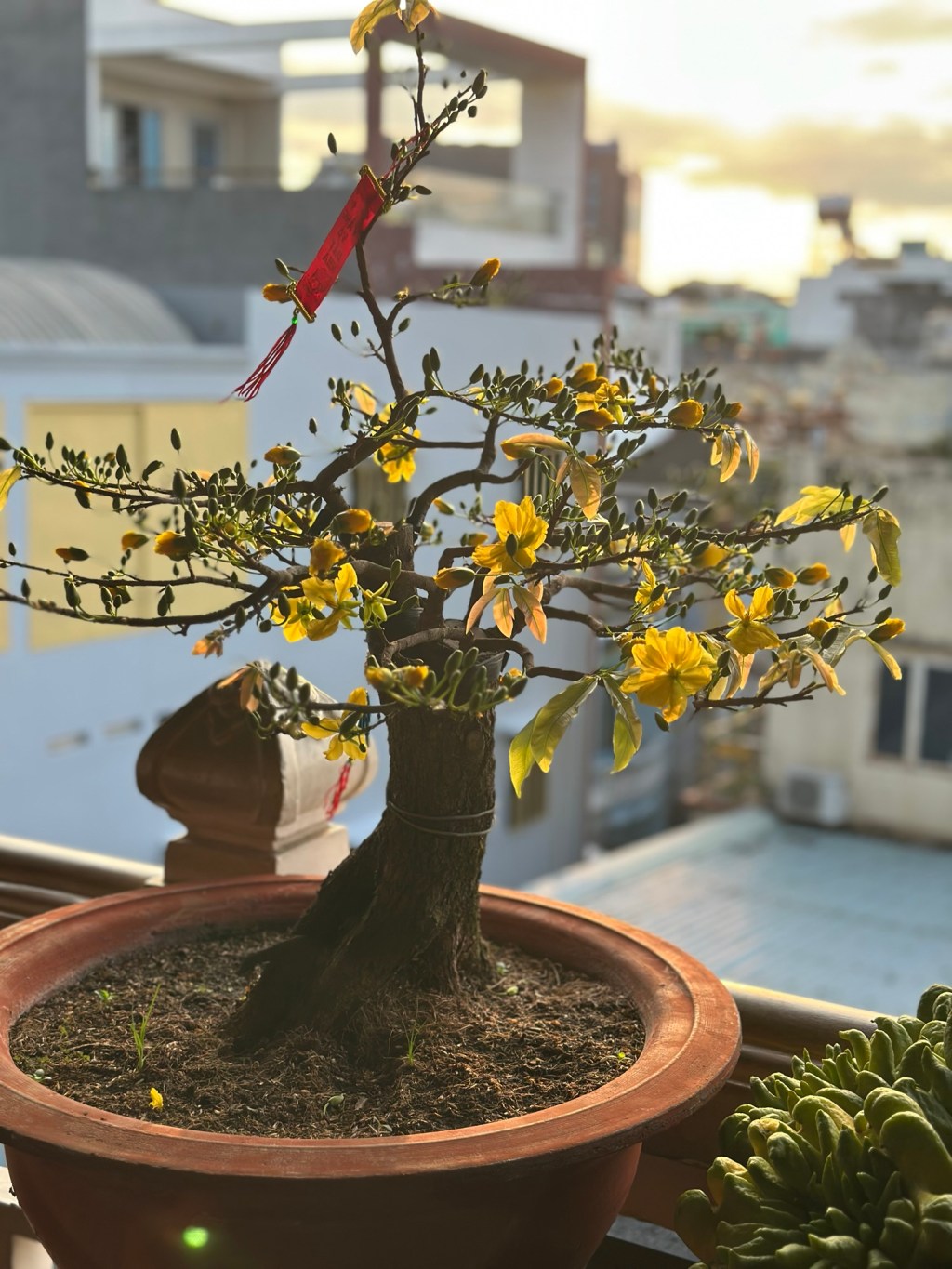 Khai bút ngày đầu năm Bính&nbsp;Ngọ,&nbsp;