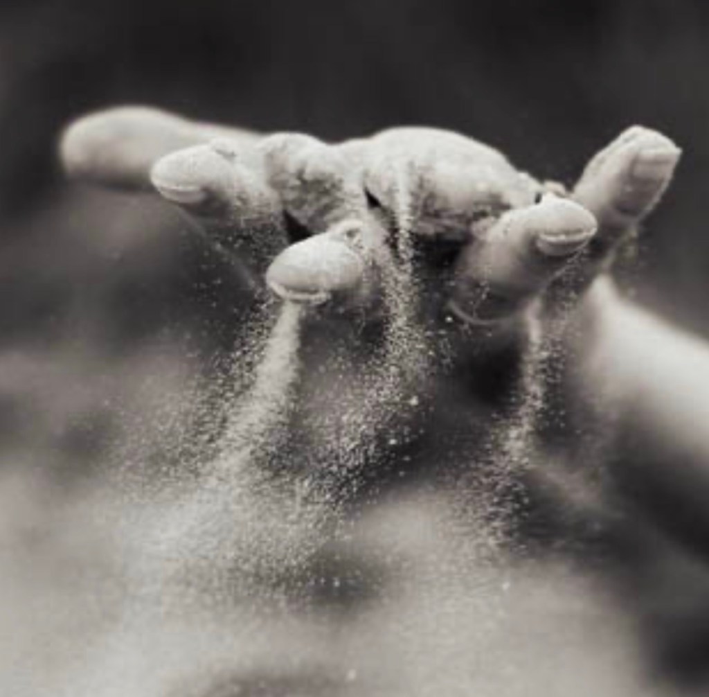 ĐƯỢC CHỌN LÀM NGƯỜI – MÓN QUÀ TỪ DUYÊN SINH VÀ ÂN&nbsp;BAN